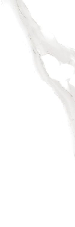 TAMPLATE PCS 25X75 02