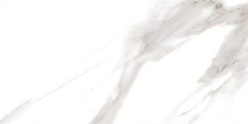 TAMPLATE PCS 25X75 05